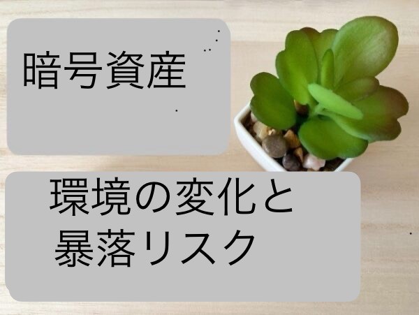 暗号資産の環境変化と暴落リスク